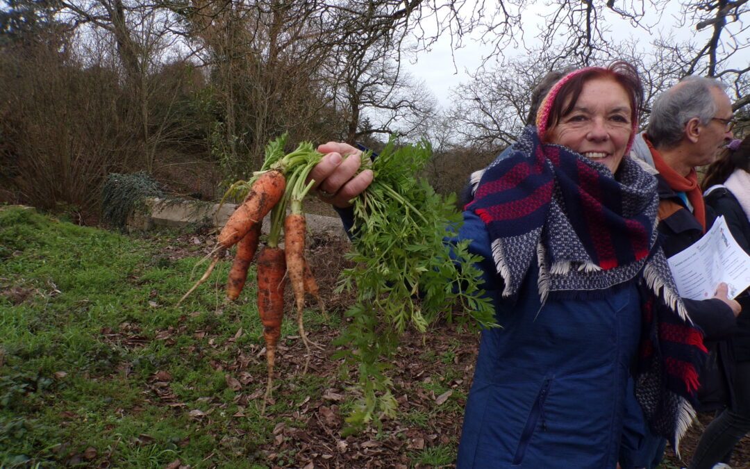 Visite du Jardin Partagé par les éco-délégués